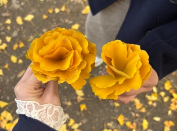 秋のピクニックへ行きました！！