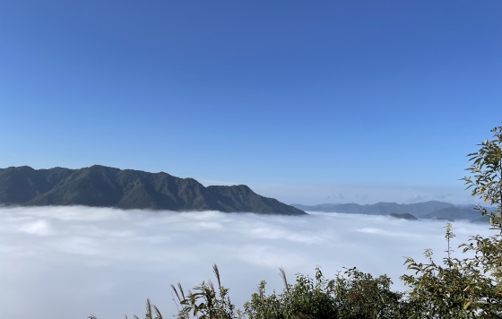 丹波市、冬到来☃️