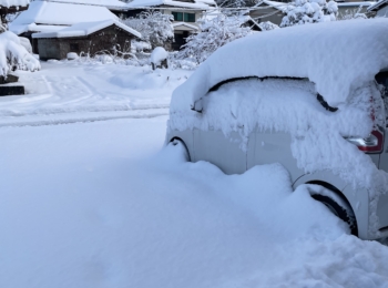 大雪が降りました⛄
