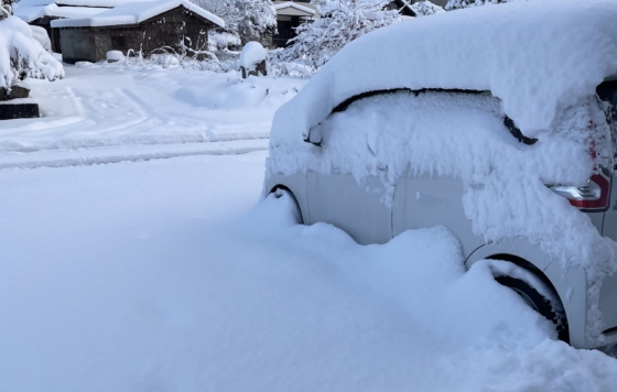 大雪が降りました⛄